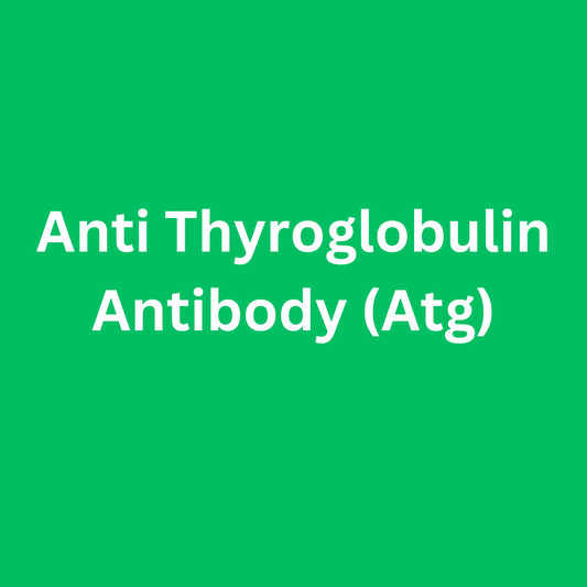 Anti Thyroglobulin Antibody (Atg)