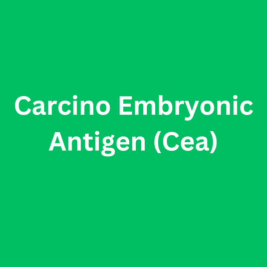 Carcino Embryonic Antigen (Cea)