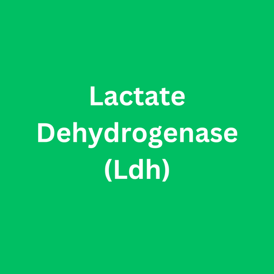 Lactate Dehydrogenase (Ldh)