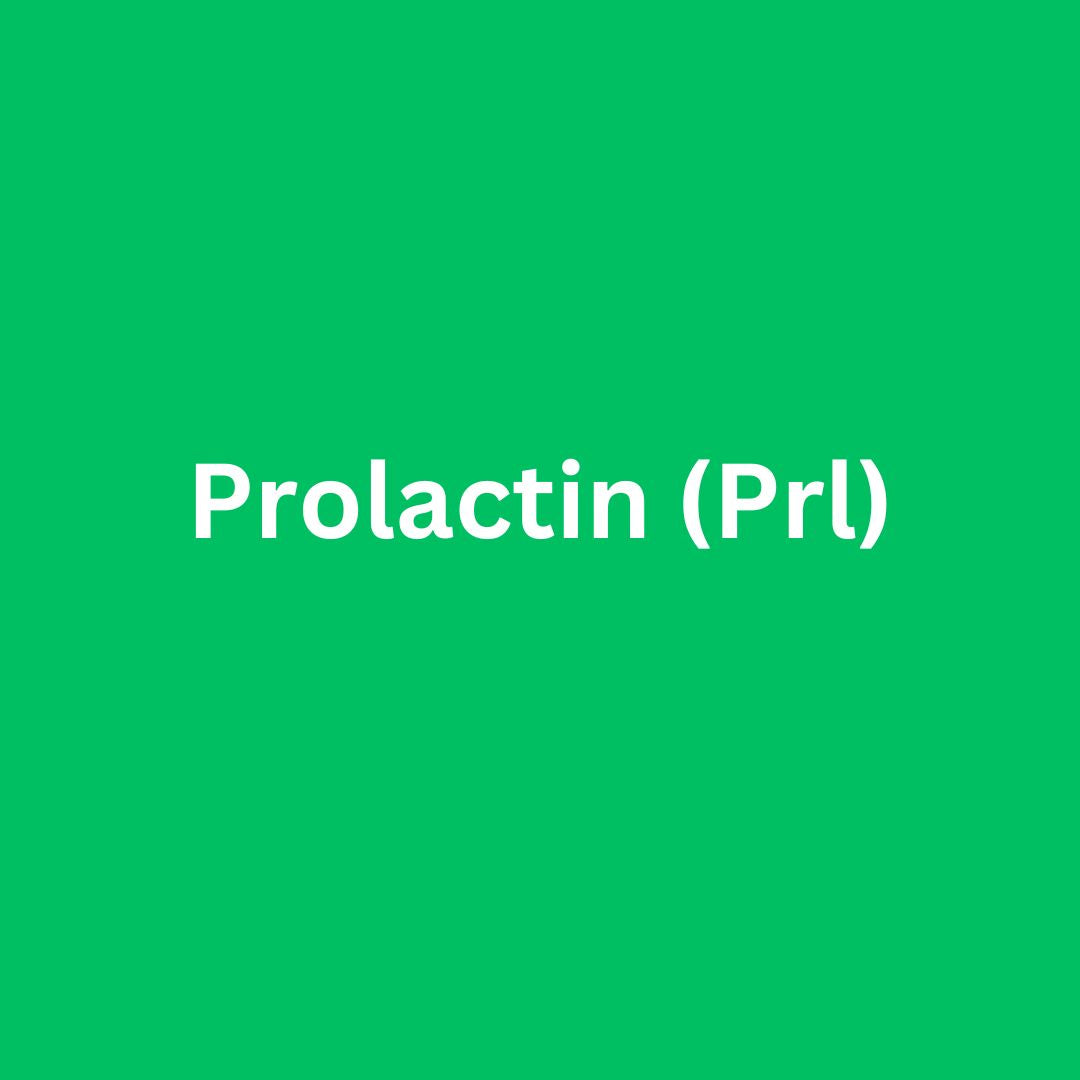 Serum Prolactin (PRL)