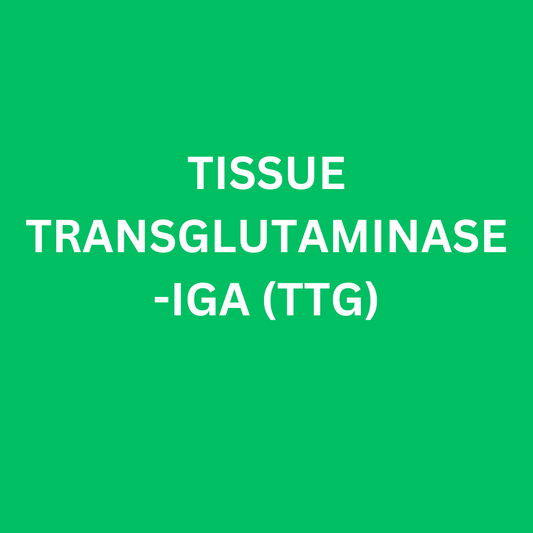 TISSUE TRANSGLUTAMINASE-IGA (TTG)