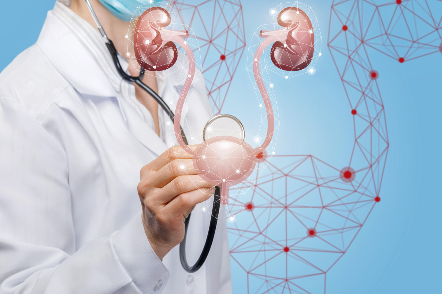 KFT - KIDNEY FUNCTION TEST