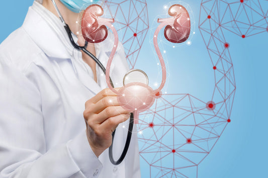 KFT -  KIDNEY FUNCTION TEST