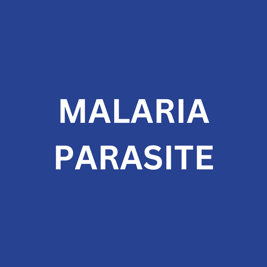 Malarial Parasite (Smear for MP)