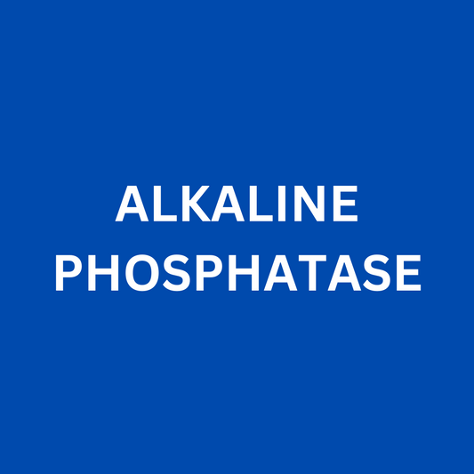 ALKALINE PHOSPHATASE